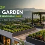 Rooftop Food Garden Architecture in Dehradun with edible green roof, vegetables, herbs and sustainable terrace planning